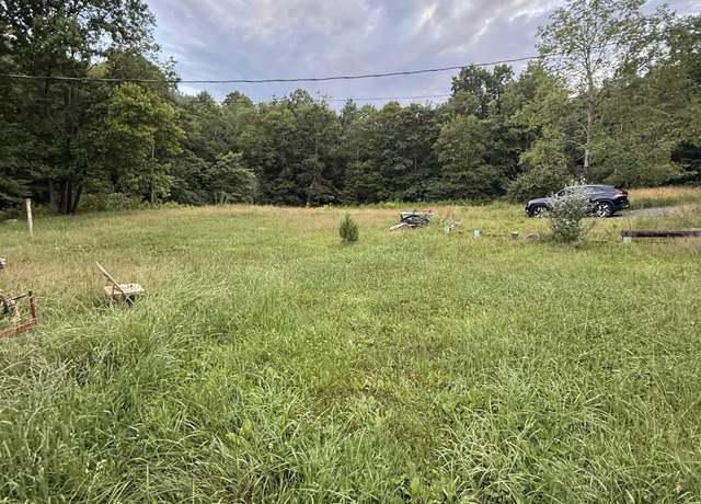 Property at TBD Adolph, Mill Creek, WV 26280