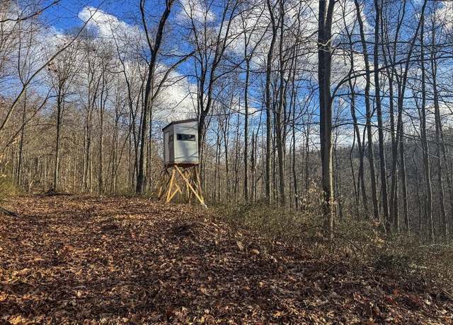 Property at TBD Keller Hl, Belington, WV 26260