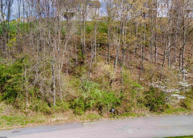 Property at 116 Iris, Morgantown, WV 26501
