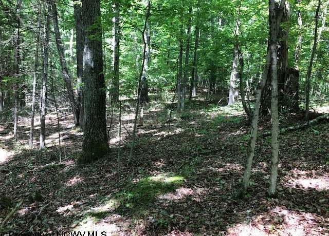 Property at TBD Harpertown, Elkins, WV 26241