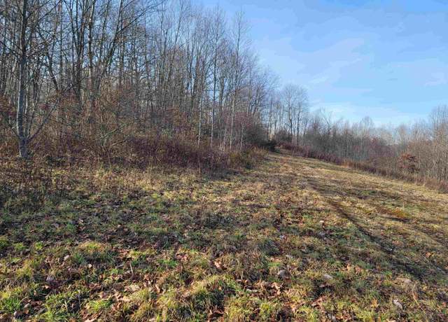 Property at LOT 10 Sand Bank Rd, Masontown, WV 26542