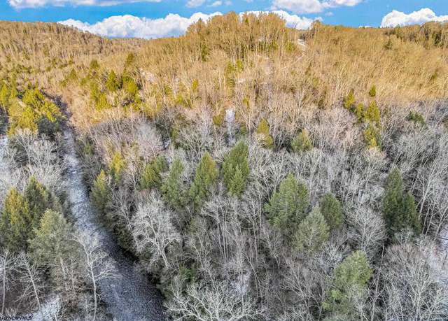 Property at 116 Laurel, Bruceton Mills, WV 26525