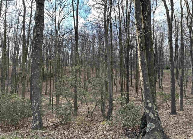 Property at 30 Laurel Vw, Morgantown, WV 26508
