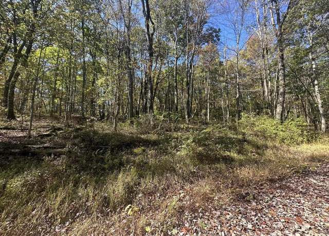 Property at 20 Rhododendron, Terra Alta, WV 26764