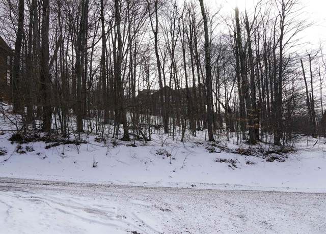 Property at 45 Winterset, Davis, WV 26260