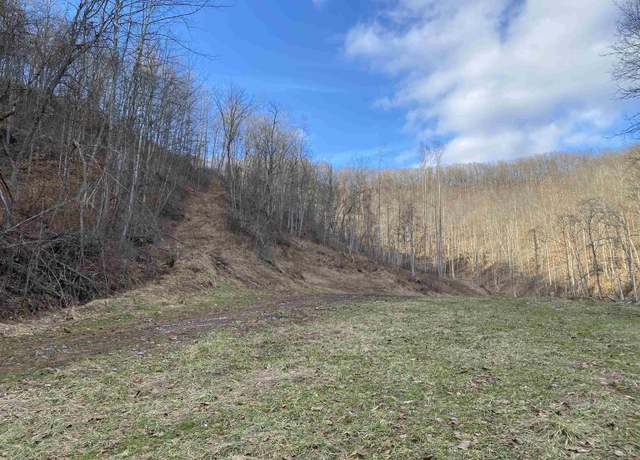 Property at TBD Dumpling Run, Burnsville, WV 26335