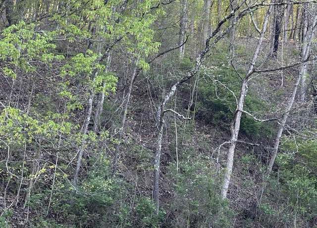 Property at TBD Webster, Grafton, WV 26354