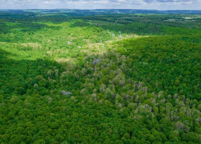 Property at TBD Tract 1 Grns, Kingwood, WV 26537