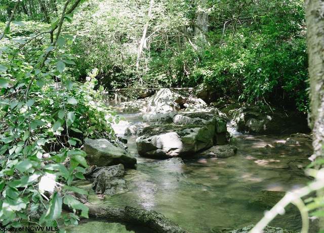 Property at TBD Tract 2 Grns, Kingwood, WV 26537