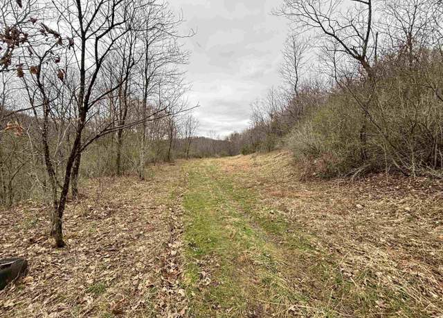 Property at TBD Hunters Frk, Belington, WV 26250