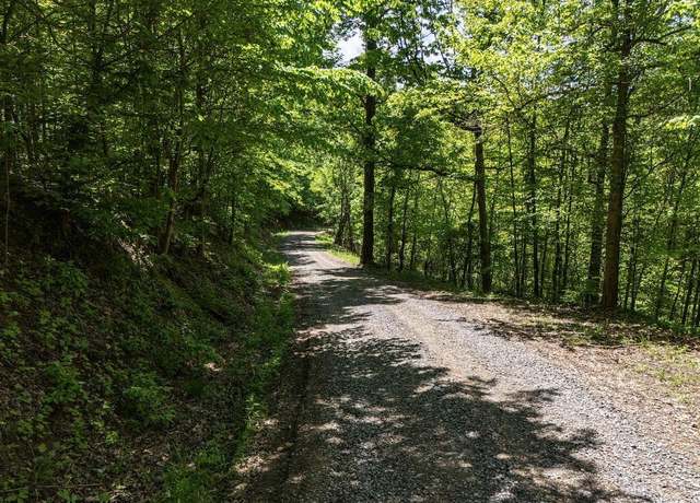 Property at TBD Mccurdysville, Rivesville, WV 26588