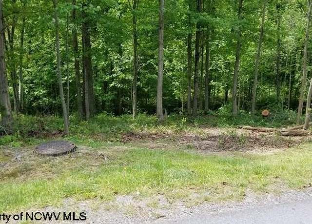 Property at 209 Woodside, Bridgeport, WV 26330