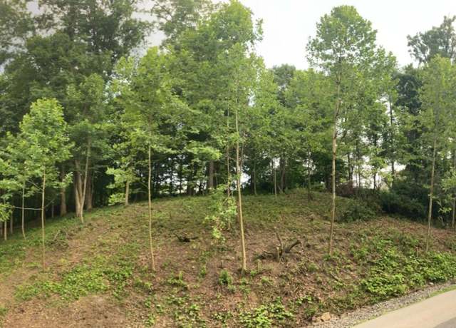 Property at Lot 41 Falling Water Ln, Morgantown, WV 26508
