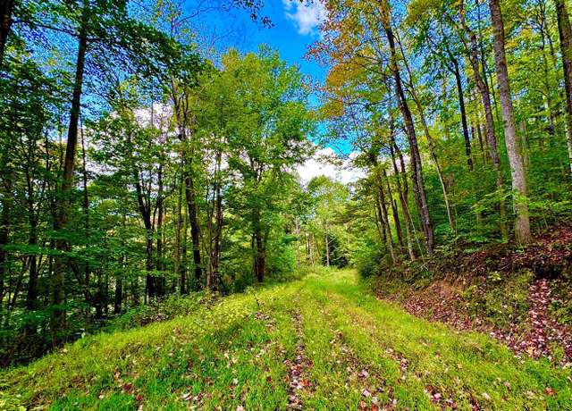 Property at TBD Webster, Webster Springs, WV 26288