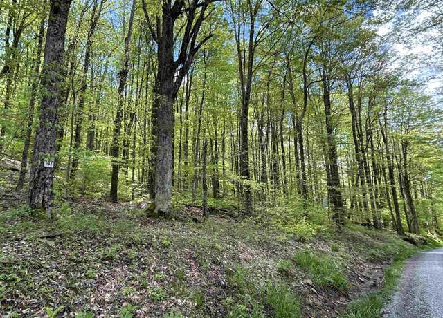 Property at Lot 147 Cabin Mtn, Davis, WV 26260