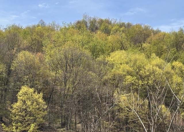 Property at 343 Mason Dixon, Morgantown, WV 26501