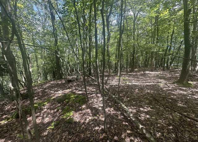 Property at 97 Daylily, Terra Alta, WV 26764