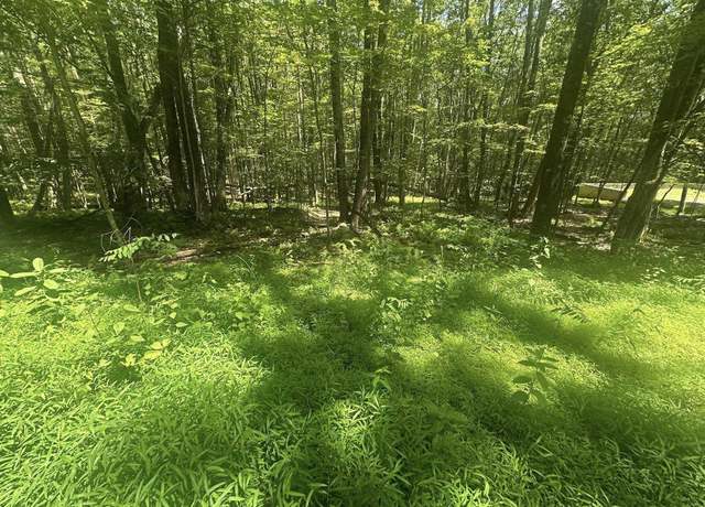 Property at 134 Windflower, Terra Alta, WV 26766