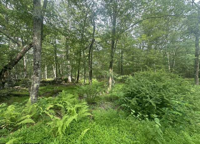 Property at 88 Goldenrod, Terra Alta, WV 26764