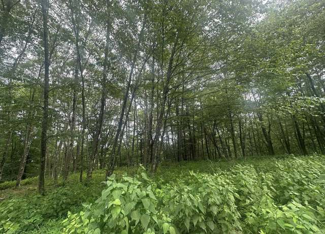 Property at 153 Windflower, Terra Alta, WV 26764