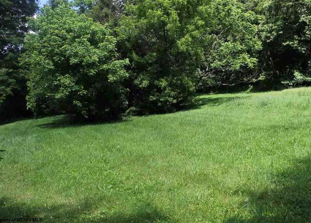 Property at Lot 4 Knapp, Elkins, WV 26241