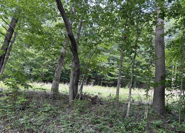 Property at Lot 4 East Run, Four States, WV 26572