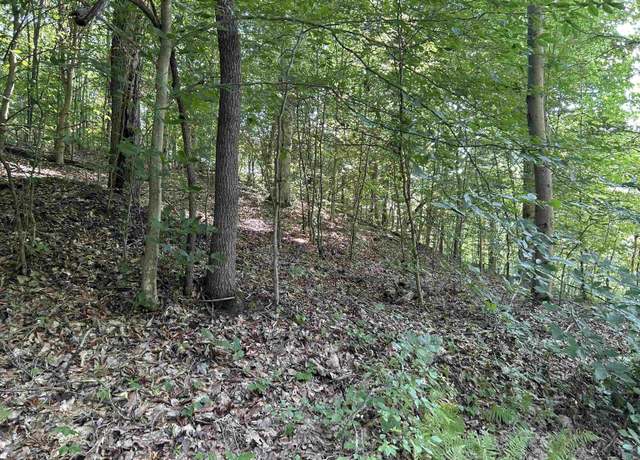 Property at Lot 3 East Run, Four States, WV 26572