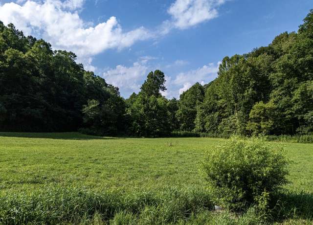Property at 431 Big Elk Rd, Wallace, WV 26448