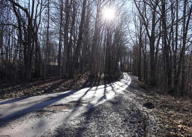 Property at TBD King Smt, Coalton, WV 26257