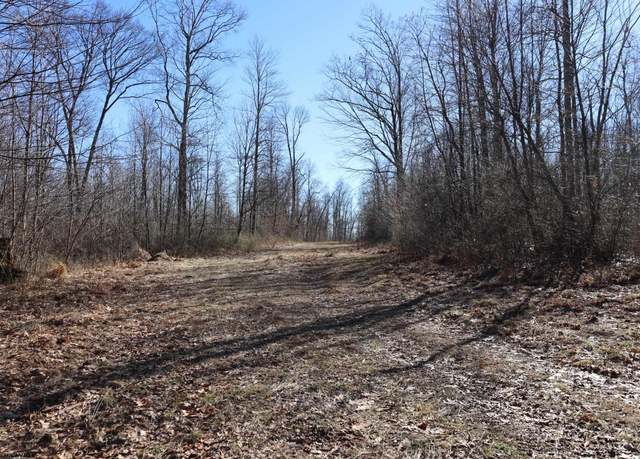 Property at TBD King Smt, Coalton, WV 26257