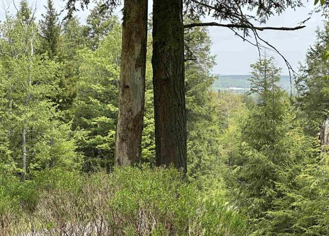 Property at Lot 16 Casentino, Davis, WV 26260