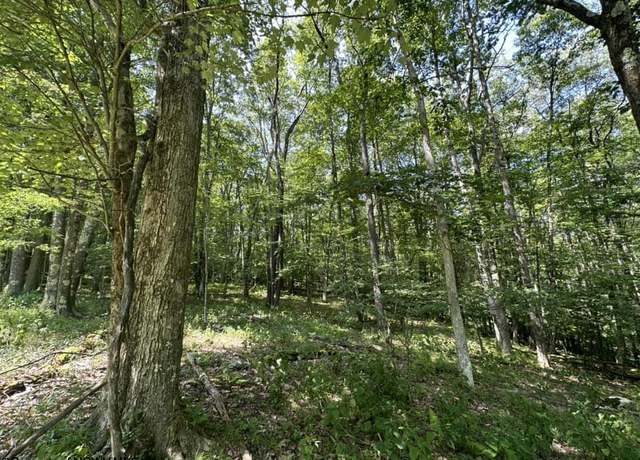 Property at 106 & 107 Lakeview, Terra Alta, WV 26764