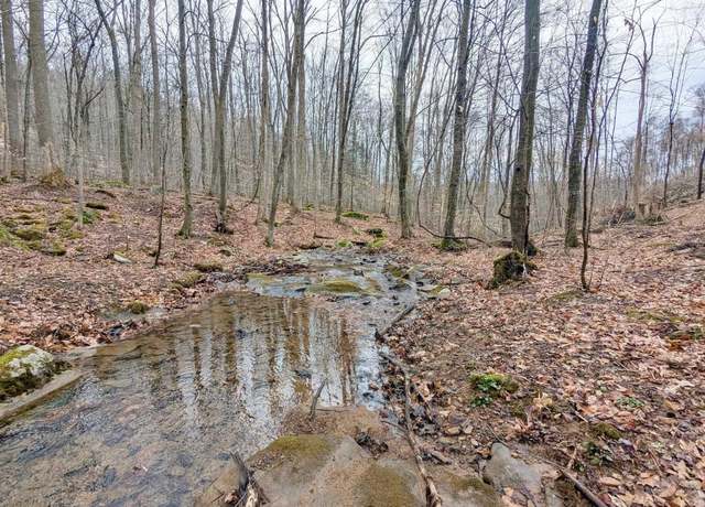 Property at 689 Burris Rd, Bruceton Mills, WV 26525