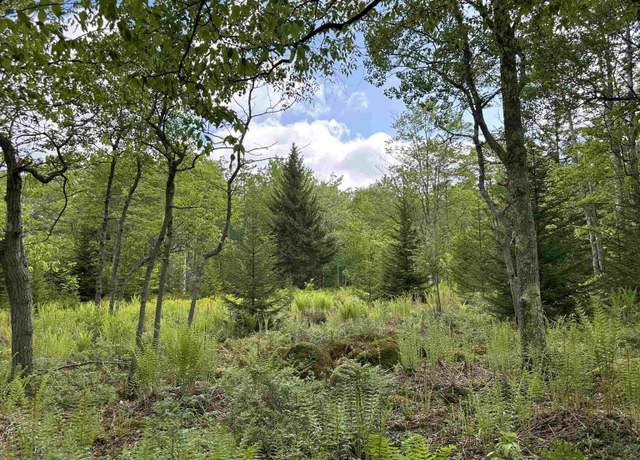 Property at Lot 9 Chickadee, Davis, WV 26260