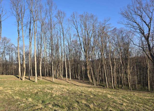 Property at 36 Stonecrest, Grafton, WV 26354