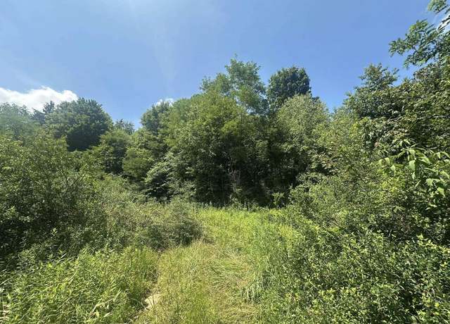 Property at TBD Kanes Crk, Reedsville, WV 26547