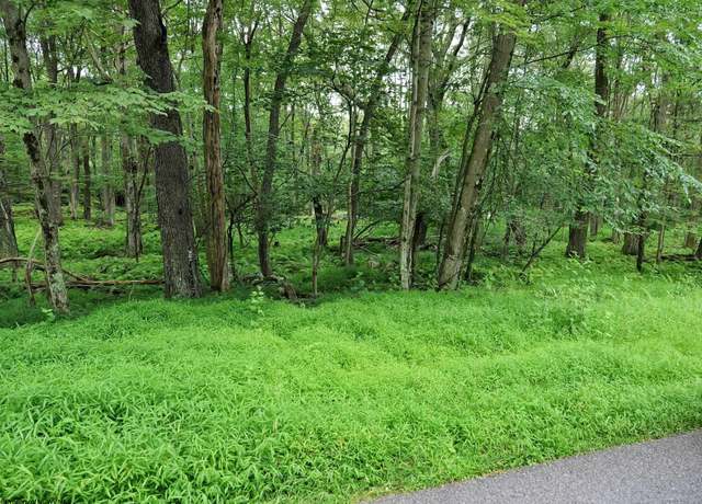 Property at 0 E Alpine, Terra Alta, WV 26764