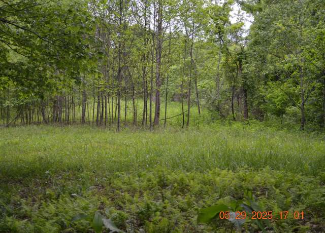 Property at 805 Fiddlers Gln, Heaters, WV 26627
