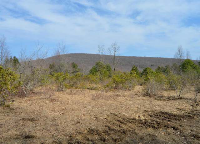 Property at Lot 4 Grosbeak, Terra Alta, WV 26764
