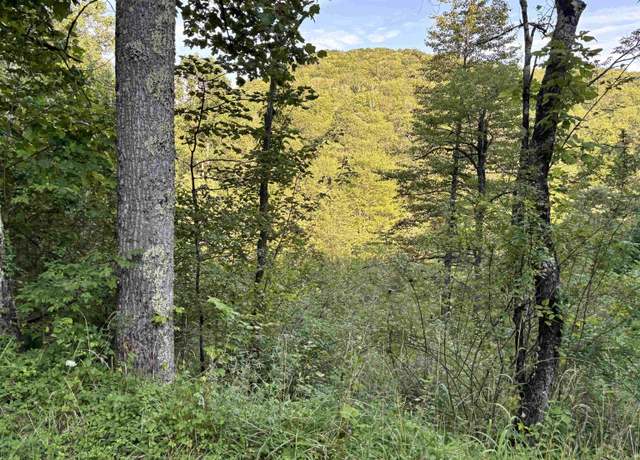 Property at 2789 Salt Lick Rd, Montrose, WV 26283