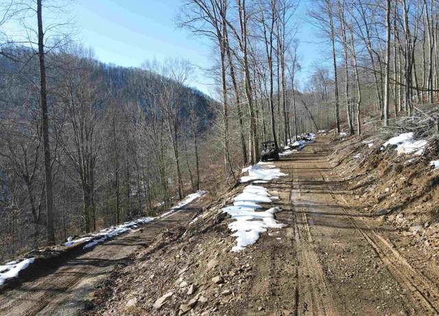 Property at 200 Black Bear, Sutton, WV 26629