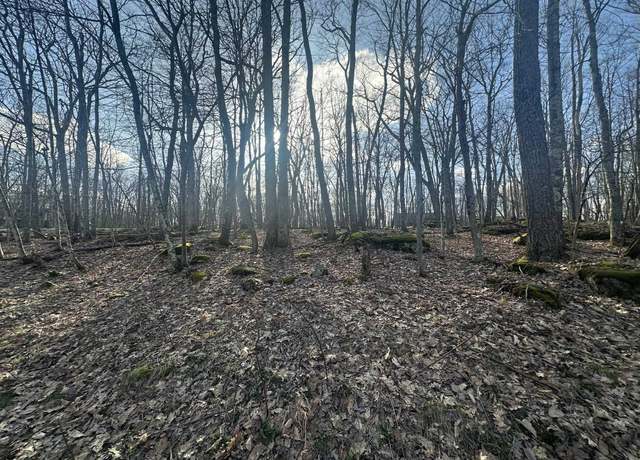 Property at Lot 15 Betony, Terra Alta, WV 26764
