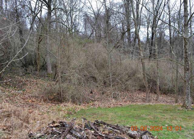 Property at Lot 48 Poplar, Jane Lew, WV 26378