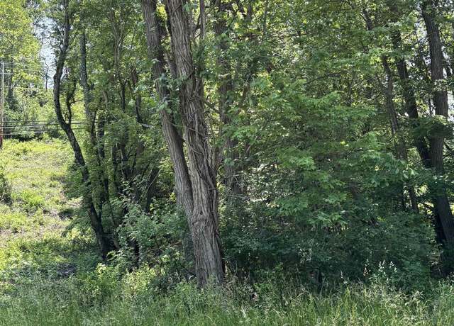 Property at LOT 4 Barbour County, Philippi, WV 26416