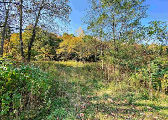 Property at Lot 1 Blizzards Gate, Harman, WV 26270