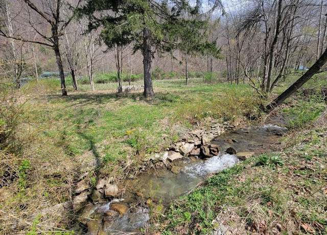 Property at 75 Upper Isner Crk, Elkins, WV 26241