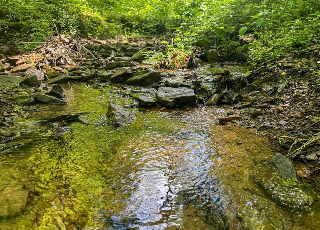 Property at TBD Rush Run, Fairview, WV 26570