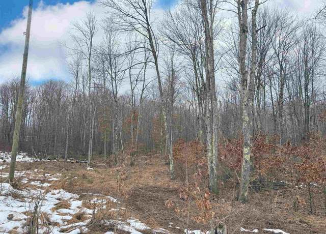 Property at TBD Berger, Bruceton Mills, WV 26525