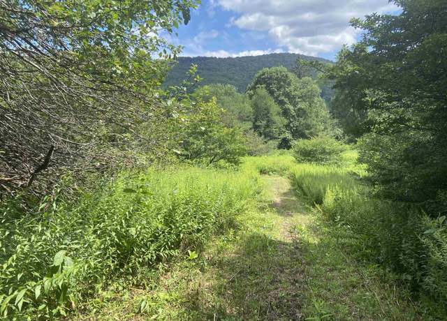 Property at Lot 135 Sunset Mountain Vlg, Slaty Fork, WV 26291