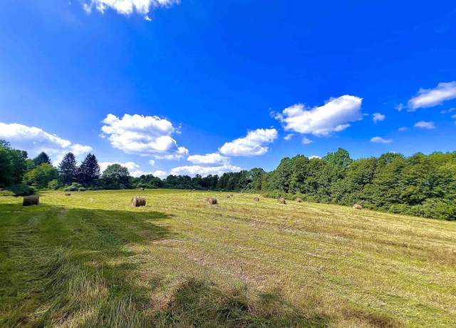 Property at TBD Jackie Brown, Independence, WV 26374
